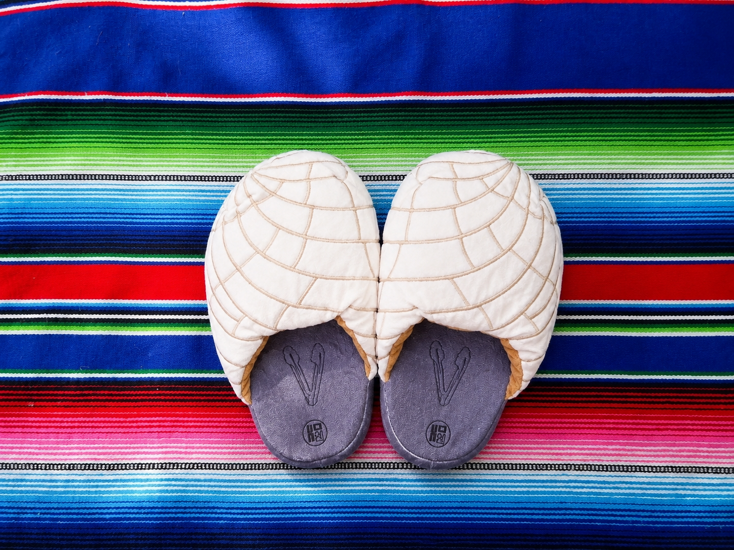 Xochico Concha Pantuflas