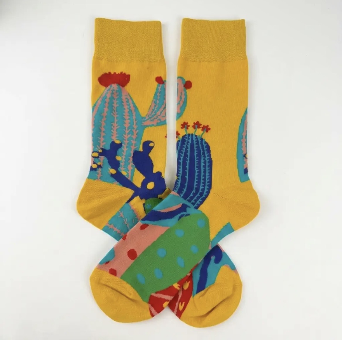 Cactus Desert Novelty Socks