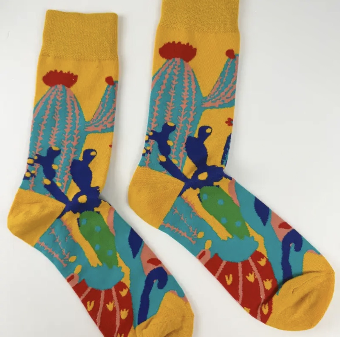 Cactus Desert Novelty Socks
