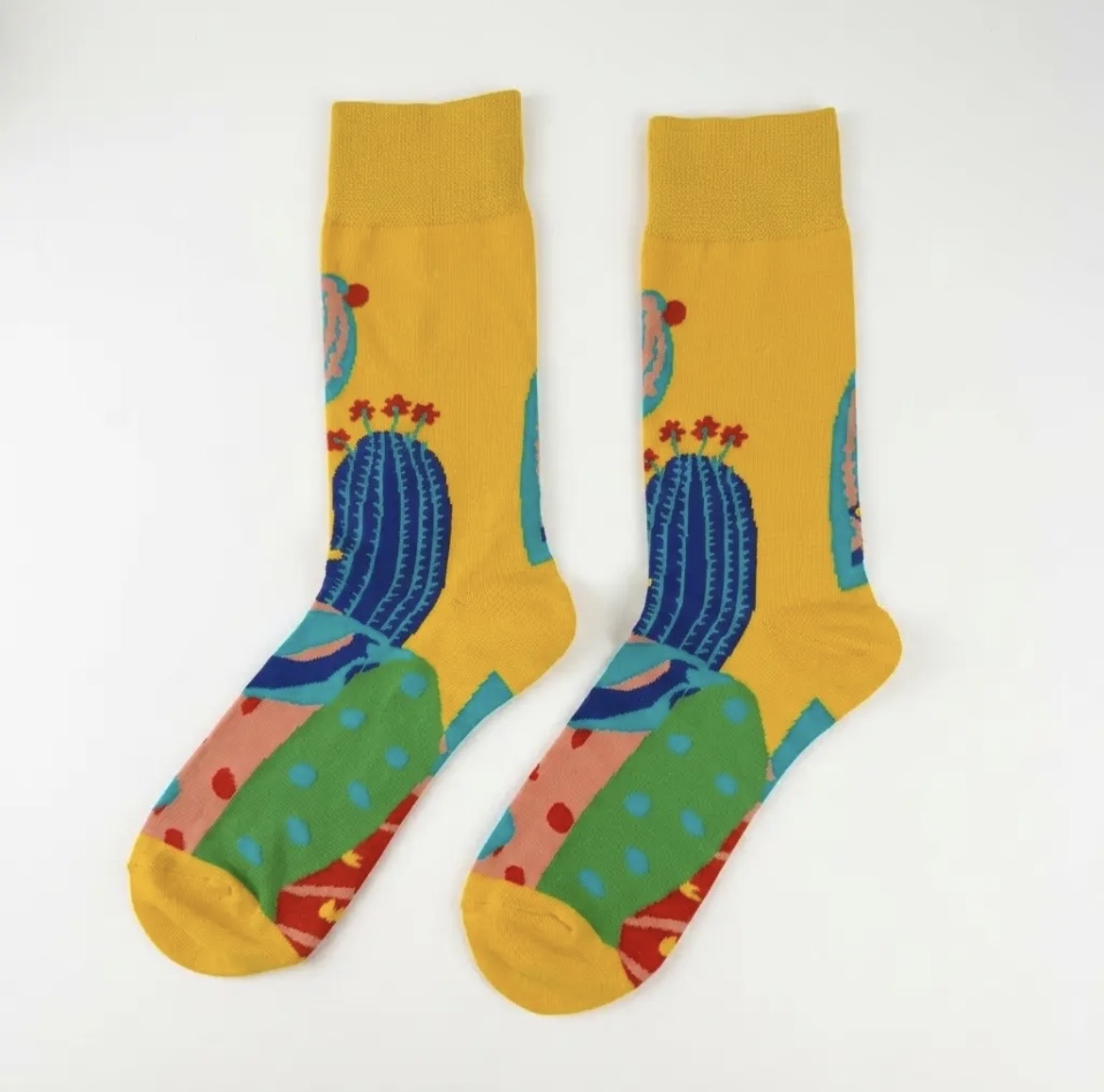 Cactus Desert Novelty Socks